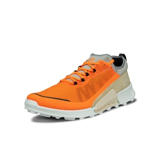 ECCO Sneaker Biom 2.1 X Country Low orange/sand Men